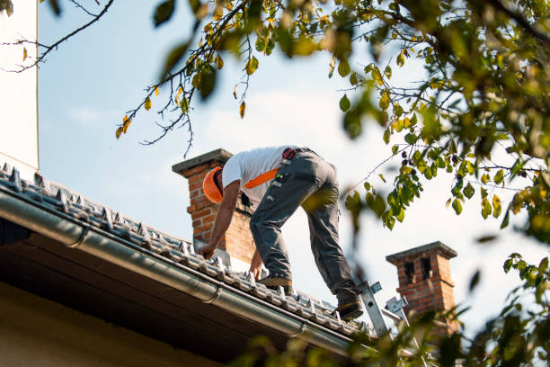 Best Roofing Contractor Near Me  in Flora, IL