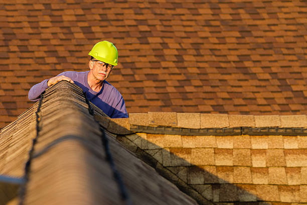 Best Roof Gutter Cleaning  in Flora, IL